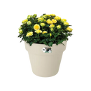 Green Basics Top Planter White 35CM