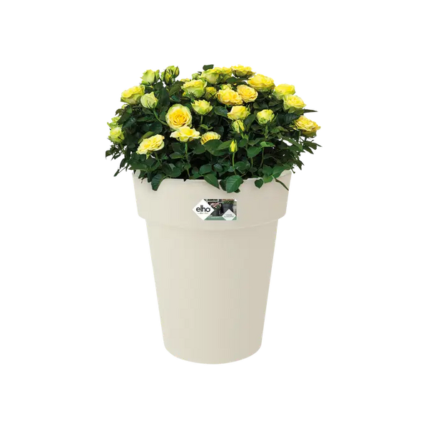 Green Basics Top Planter High Cotton White 35CM