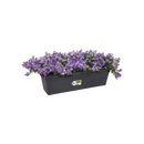 Green Basics Trough Black 50CM