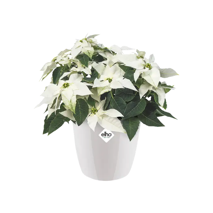 Brussels Diamond Pot Round White 18CM