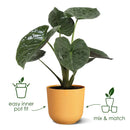 Jazz Pot White 16CM