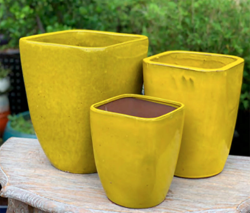 Palmers Branded Glazed Square Tall Pot - M