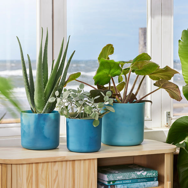 indoor plant pots nz Elho The Ocean Pot Atlantic Blue