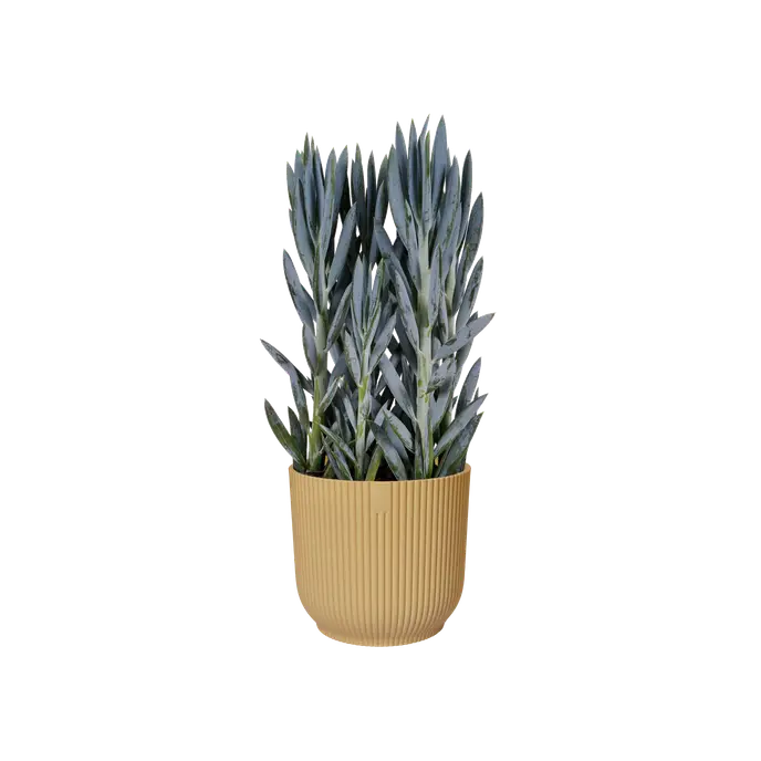 Elho Vibes Fold Round Yellow - 16cm
