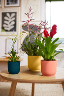 Vibes Pot Blue 9CM