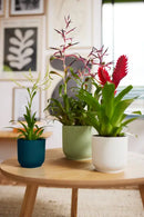 Elho Vibes Fold Round White - 14cm