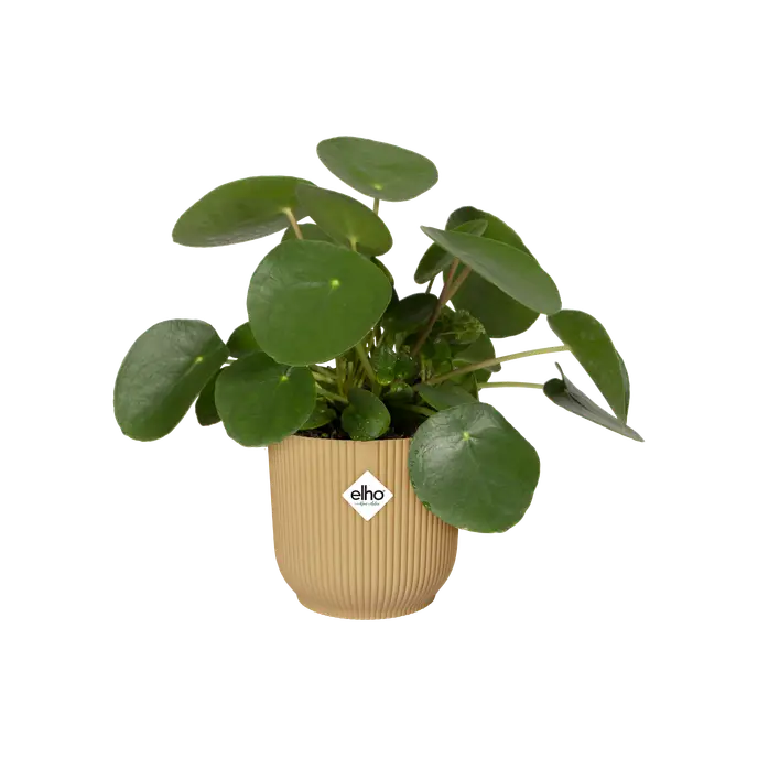 Elho Vibes Fold Round Yellow - 16cm