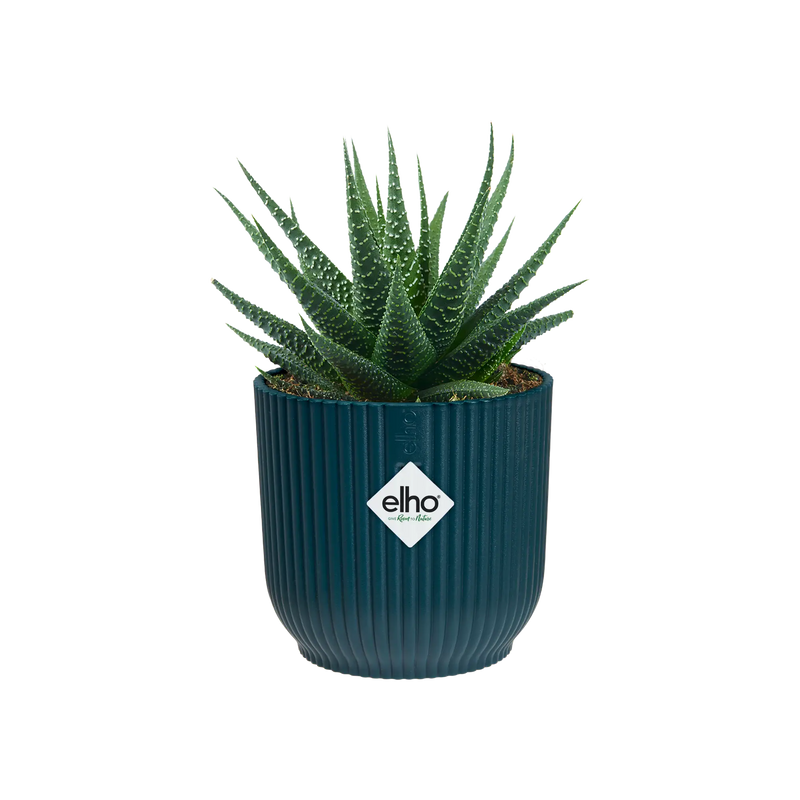 Vibes Pot Blue 7CM