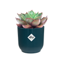Vibes Pot Blue 9CM