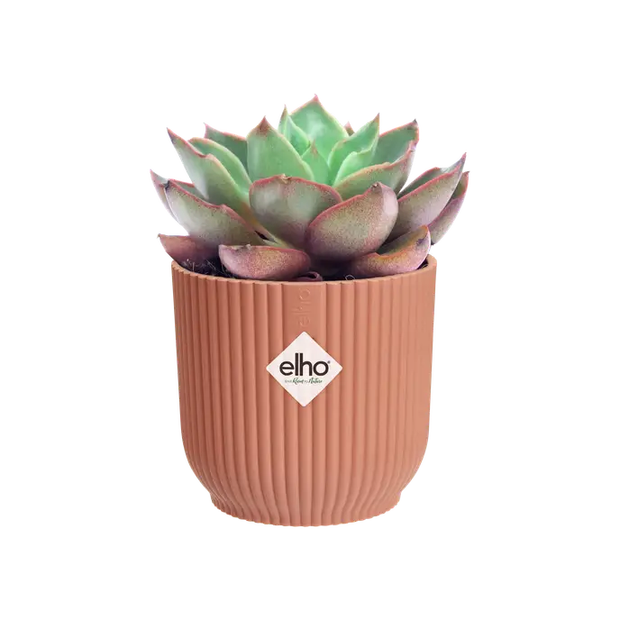 Elho Vibes Fold Round Pink - 14cm