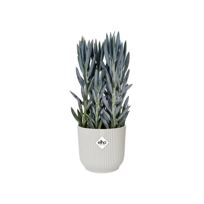 Elho Vibes Fold Round White - 14cm