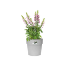 Vibia Straight Round Pot Concrete 25CM