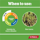 Kikuyu Blend Lawn Seed - 1Kg