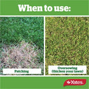 Kikuyu Blend Lawn Seed - 1Kg