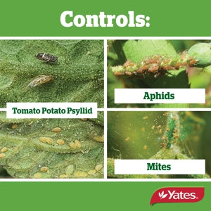 Yates Mavrik Insect & Mite Spray Ready To Use - 750ml