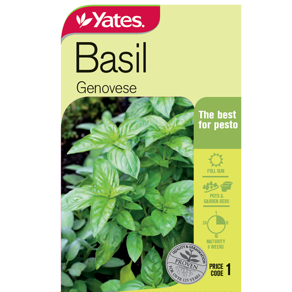 Yates Herb Seed Basil 'Genovese'