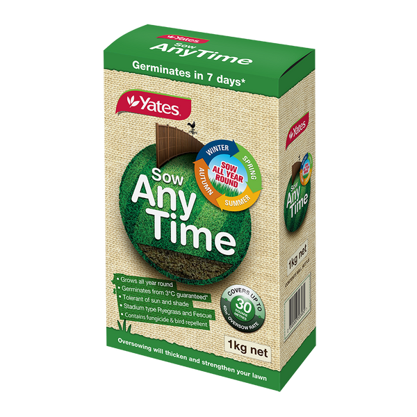 Yates Lawn Seed Sow Anytime - 1Kg