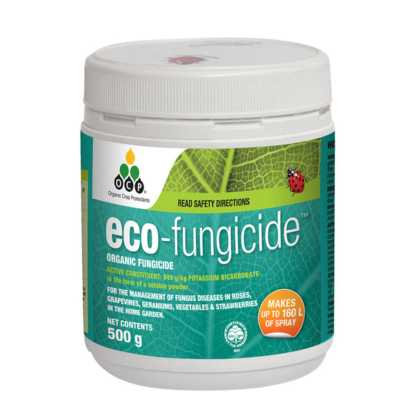 Eco-Fungicide Concentrate - 500G