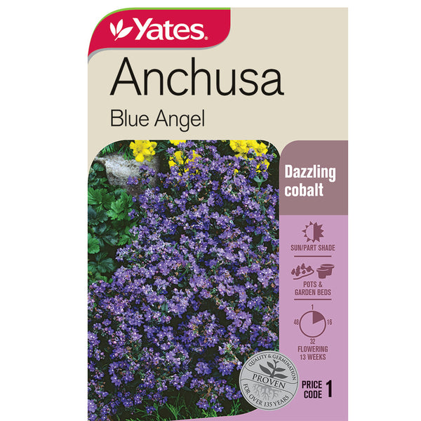 Yates Flower Seed Anchusa Blue Angel