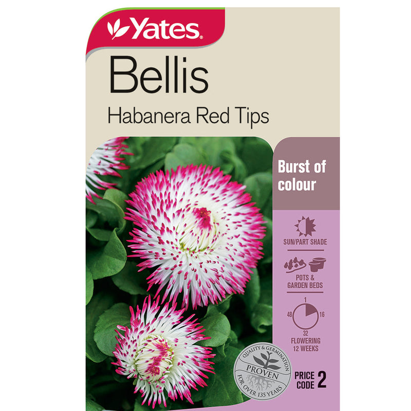 Yates Flower Seed Bellis 'Habanera Red Tips'