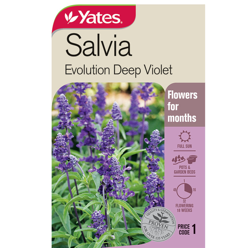 Yates Flower Seed Salvia Evolution Deep Violet