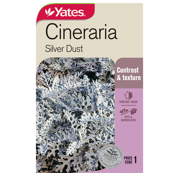 Yates Flower Seed Cineraria 'Silver Dust'