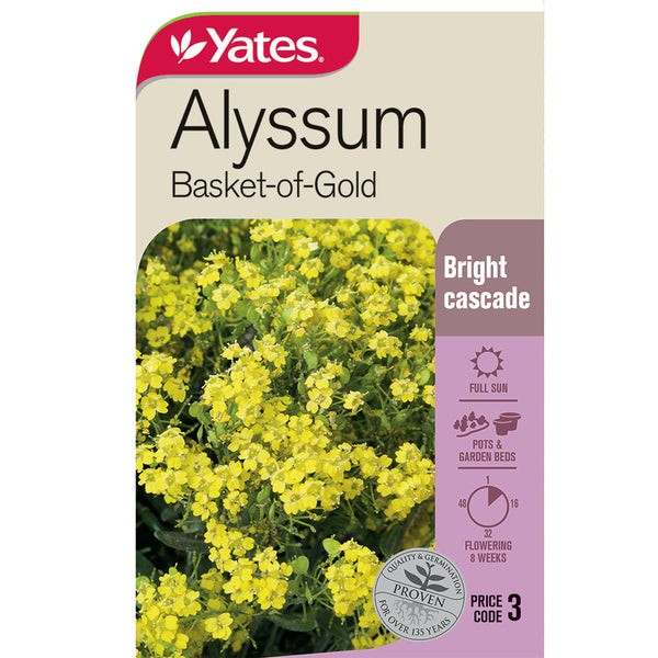 Yates Flower Seed Alysumm Basket Of Gold