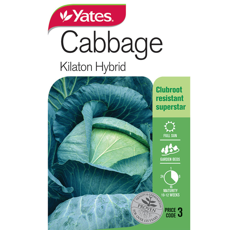 Kilaton Yares Vegetable Seed Cabbage Kilaton Hybrid