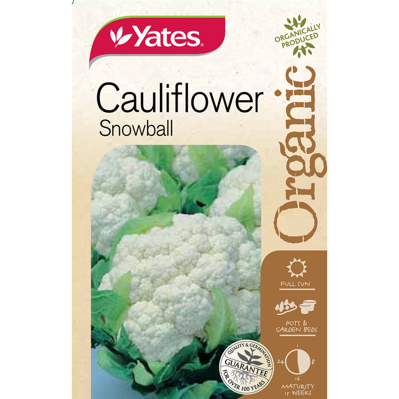 Yates Vegetable Seed Cauliflower Snowball Hybrid