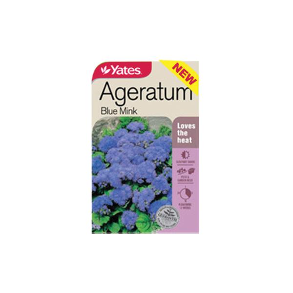 Ageratum Blue Mink