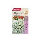 Alyssum Carpet Of Snow