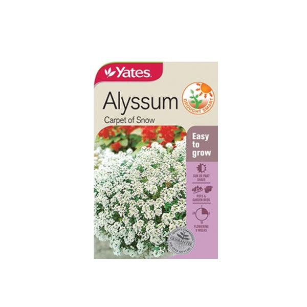 Alyssum Carpet Of Snow