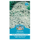 Alyssum Carpet of Snow Seed