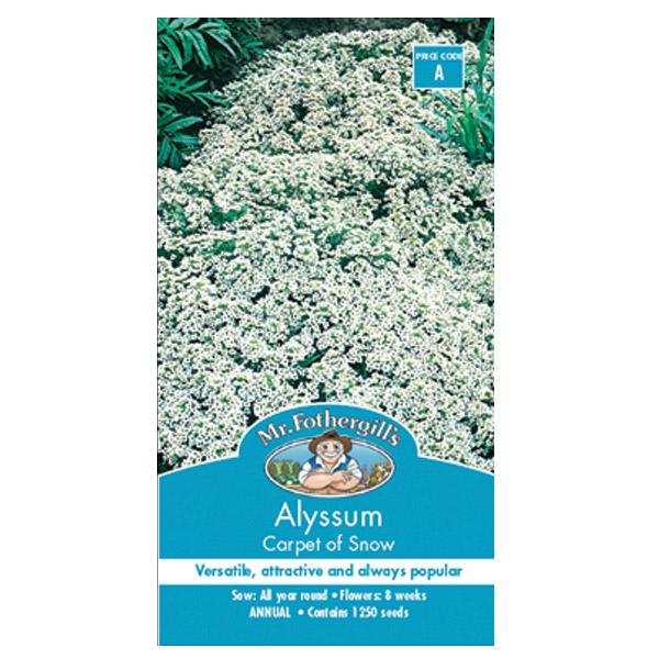 Alyssum Carpet of Snow Seed