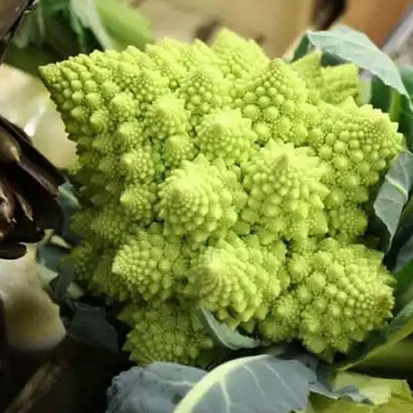 Broccoflower Top Crop Vegetable Punnet