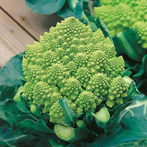 Broccoli Romanesco Vegetable Punnet