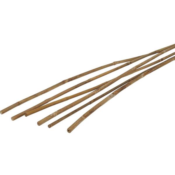 Bamboo Cane - 1.2m Pack of 10