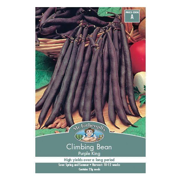 Climbing Bean Purple King Seed