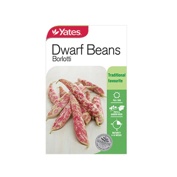 Beans Dwarf Borlotti