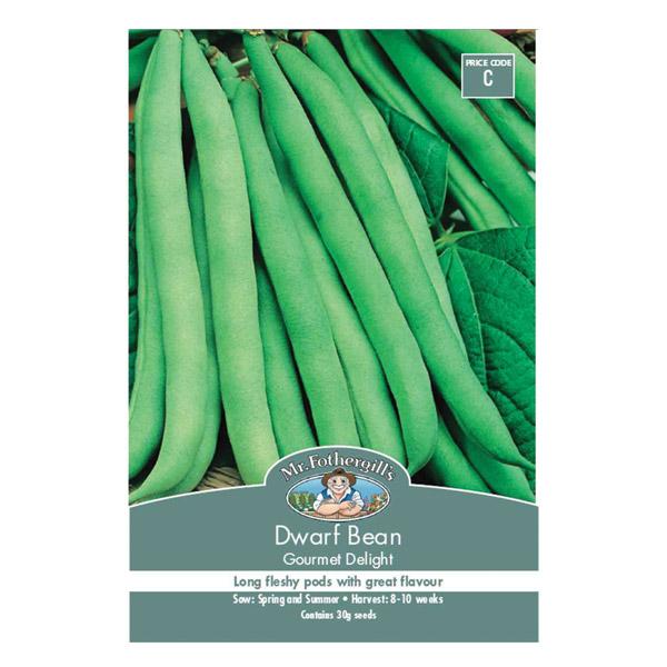 Dwarf Bean Gourmet Delight Seed