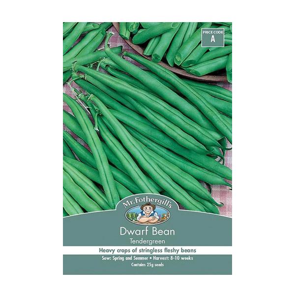 Dwarf Bean Tendergreen Seed