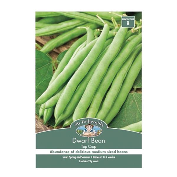 Dwarf Bean Top Crop Seed