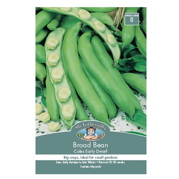 Broad Bean Coles Early Dwarf Seed