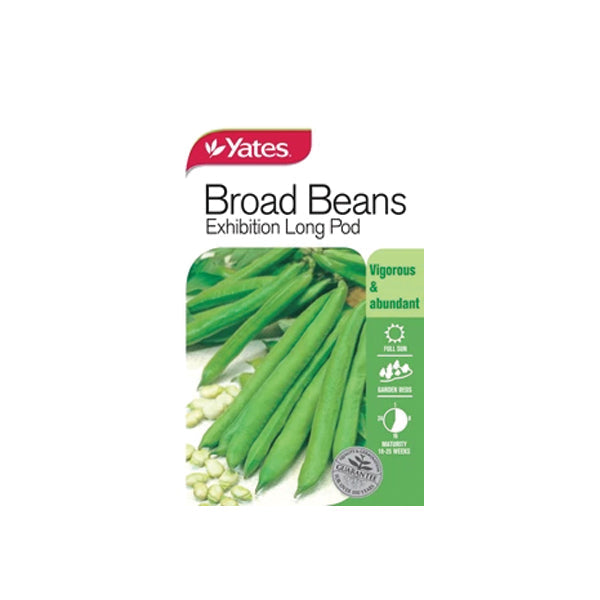 Broad Bean Exhibition Long Pod