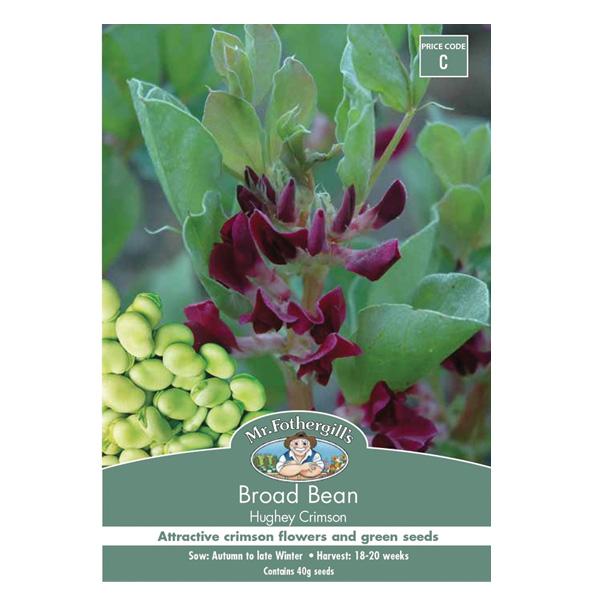 Broad Bean Hughey Crimson Seed