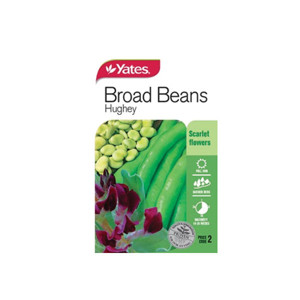 Broad Bean Hughey