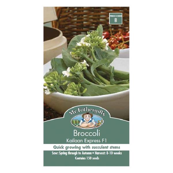 Broccoli Kailaan Express F1 Seed