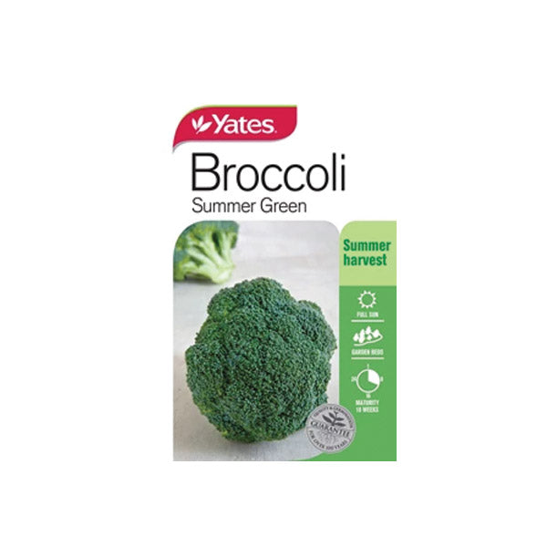 Broccoli Summer Green