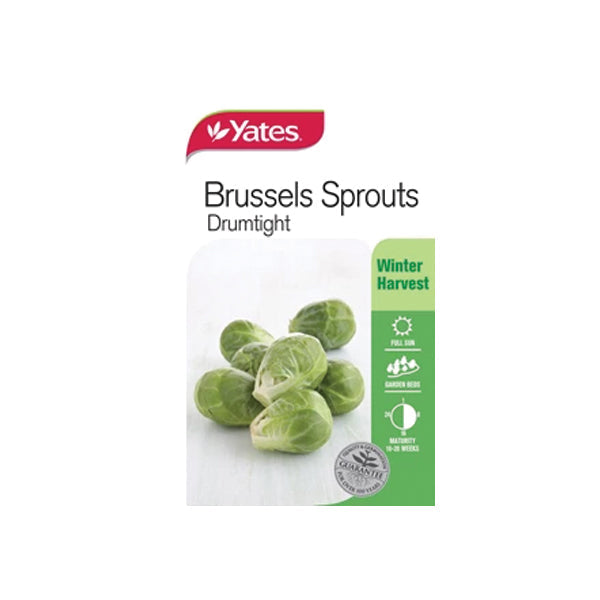 Brussels Sprout Drumtight