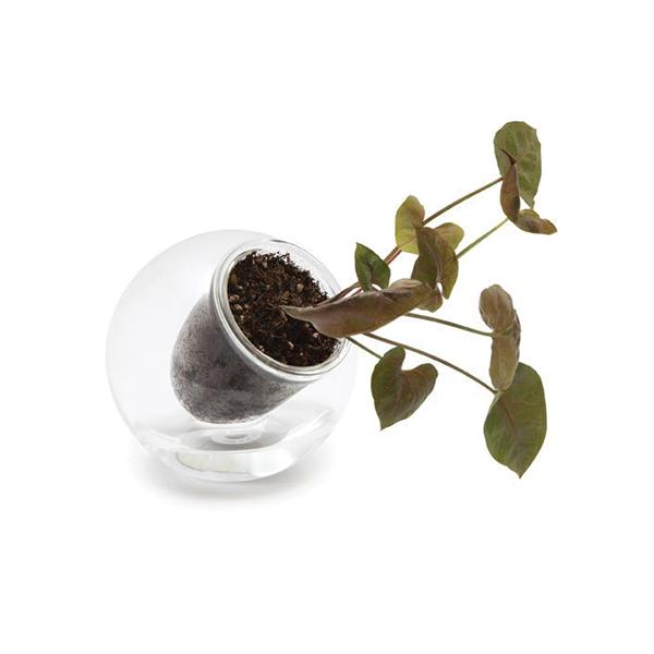 Cup o Flora Self Watering Pot Tilted - Medium